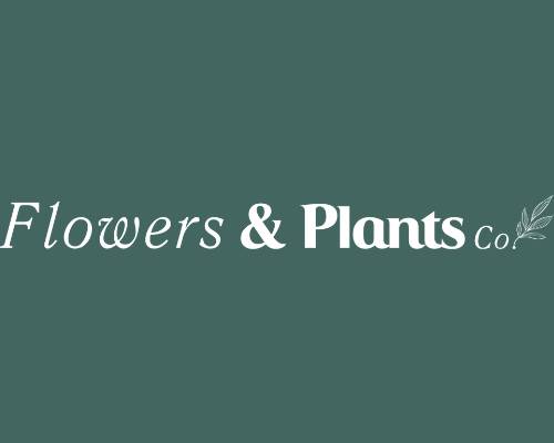 15% off flowers and plants