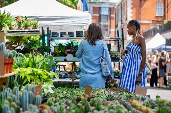Kensington Botanical Market