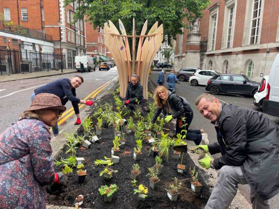 Community Planting Session - Phillimore Walk